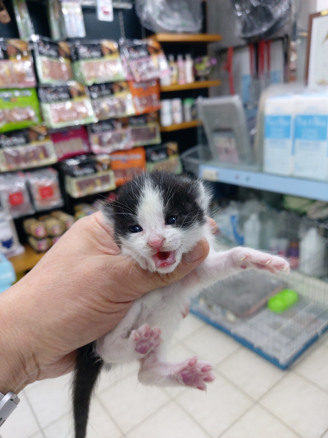 우리동물병원_428356202300522